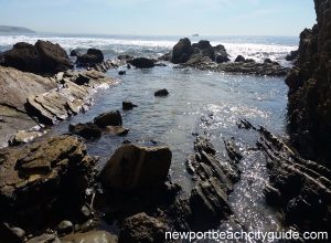 treasure cove crystal cove state park newport beach ca