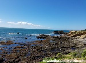 little treasure cove crystal cove state park newport beach ca